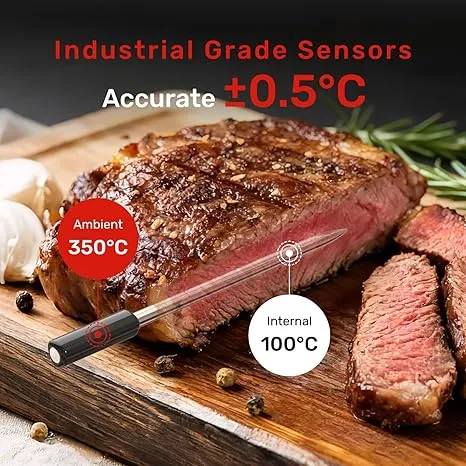 bbq temperature probe, oven cooking thermometer