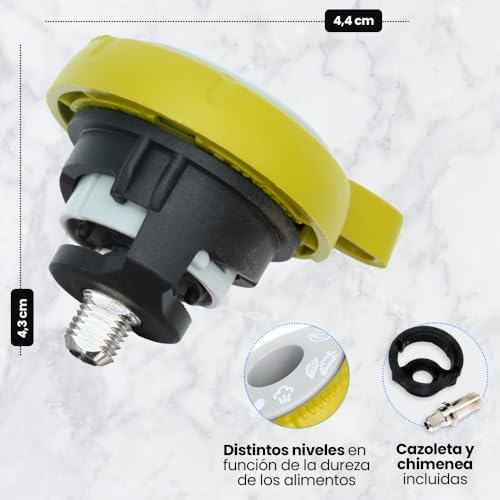 Anakel Home Replacement Pressure Regulator Valve SS-981368 Compatible with Tefal Secure 5 Neo Express Pot, with Pot and Fireplace Included, Lime Green and Grey