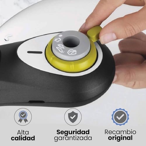 Anakel Home Replacement Pressure Regulator Valve SS-981368 Compatible with Tefal Secure 5 Neo Express Pot, with Pot and Fireplace Included, Lime Green and Grey