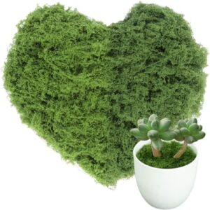 KOWVOWZ Artificial Moss 100g - Realistic Faux Moss Decor
