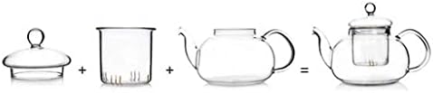 YULAN Glass Teapot With Infuser, Teapot With Strainer For Loose Tea, Glass Tea Pot Can be Used On Stovetop 800ml-144