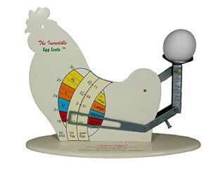 Fall Harvest Home The Incredible Egg Scale