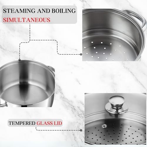 Vinod Stainless Steel 2-Tier Steamer – 20cm | Vegetable, Momo Steamer with Glass Lid, Sturdy Handle, Induction & Gas Friendly – Perfect for Couscous, Dumplings & Rice Dishes
